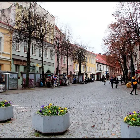 Pogo Vilnius